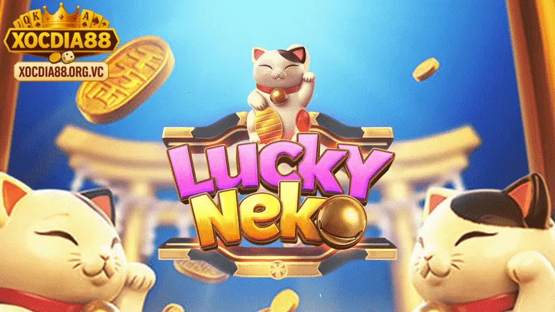 Bí mật sức hút của Lucky Neko